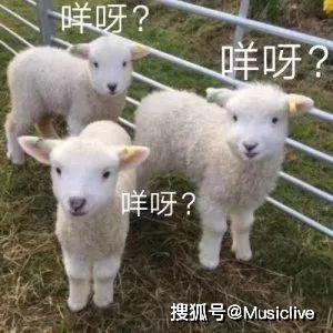 小羊新外观爆料视频,视频爆料带你领略全新风采  第3张